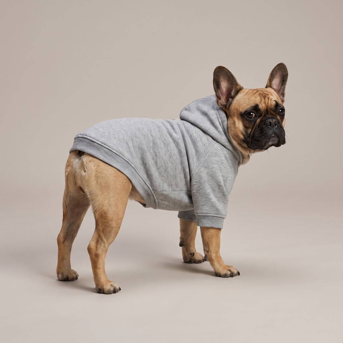 Huvtröja till Hund med Eget Tryck | Fleece Hoodie för Hund