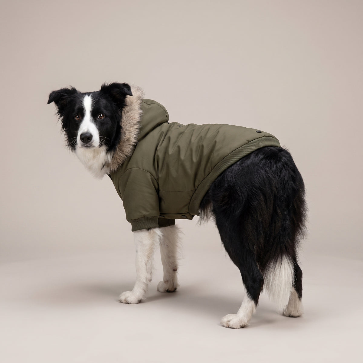 Varm Parkas till Hund med Eget Tryck | Vinterjacka för Hund